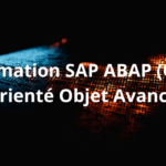 Formation SAP ABAP (OO) Orienté Objet Avancé